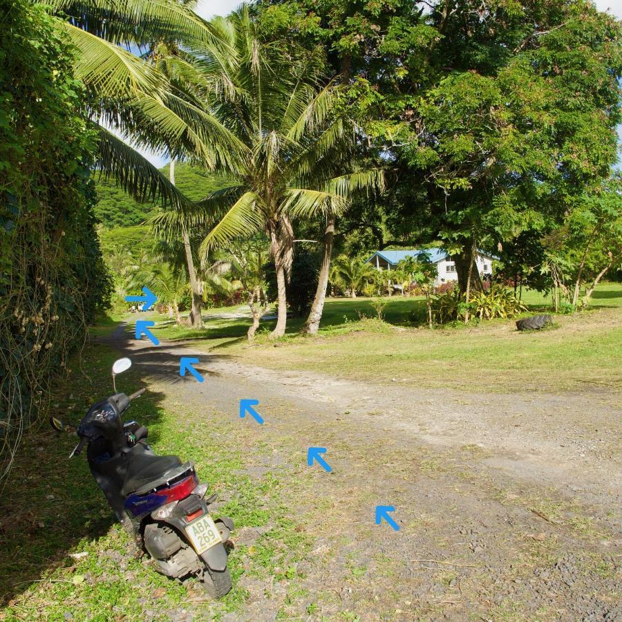 'Are Pepe One Bedroom Container Style Unit Rarotonga Eksteriør billede